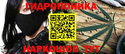 СК Краснознаменск